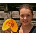 QUARTER CROWN PUMPKIN  - MEDIUM - PUKEKOHE Grown 